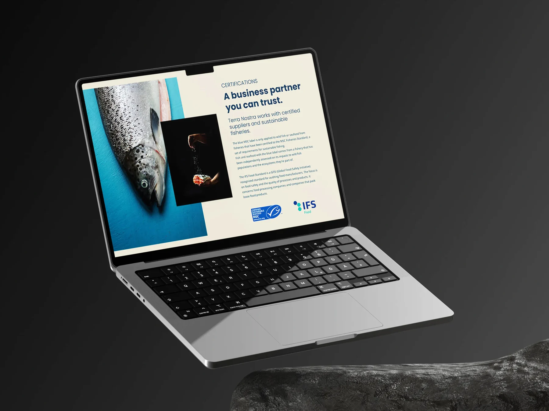 The Terra Nostra site on a laptop, staged on dark rock.